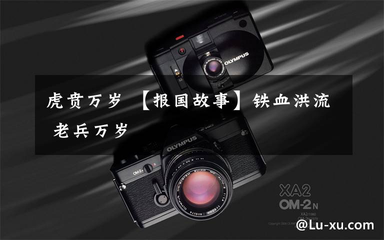 虎贲万岁 【报国故事】铁血洪流 老兵万岁文章配图