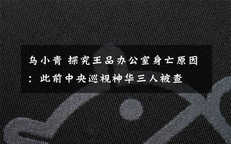 乌小青 探究王品办公室身亡原因：此前中央巡视神华三人被查文章配图