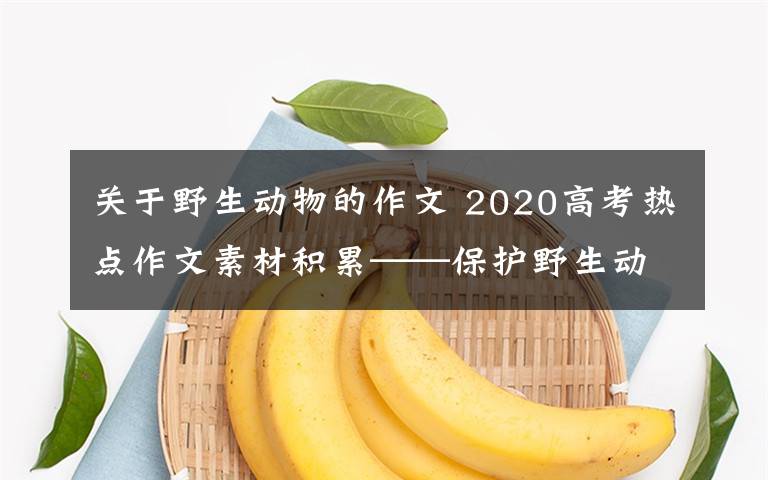 关于野生动物的作文 2020高考热点作文素材积累——保护野生动物，禁食野味