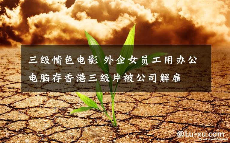 三级情色电影 外企女员工用办公电脑存香港三级片被公司解雇文章配图