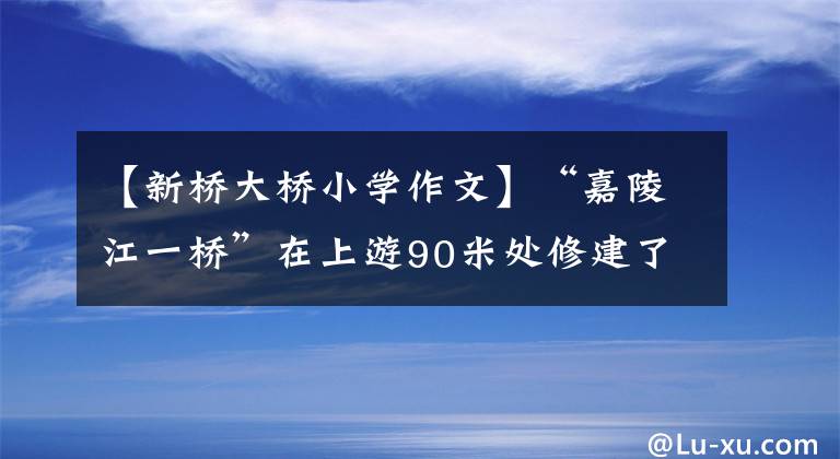 【新桥大桥小学作文】“嘉陵江一桥”在上游90米处修建了一座新桥。