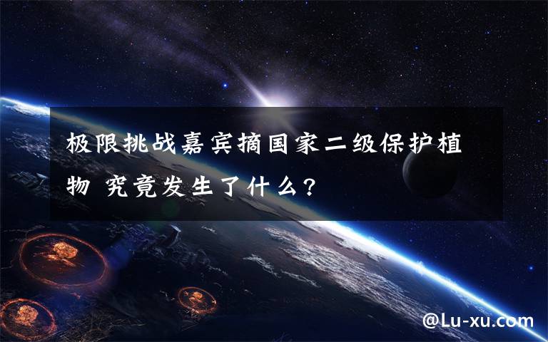 极限挑战嘉宾摘国家二级保护植物 究竟发生了什么?