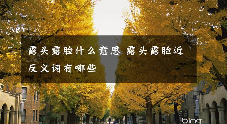 露头露脸什么意思 露头露脸近反义词有哪些文章配图