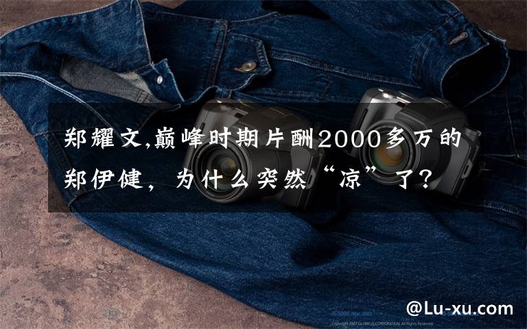 郑耀文,巅峰时期片酬2000多万的郑伊健，为什么突然“凉”了？