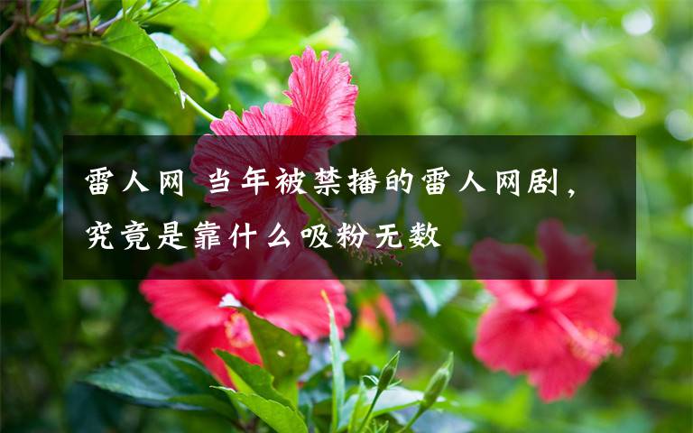 雷人网 当年被禁播的雷人网剧，究竟是靠什么吸粉无数