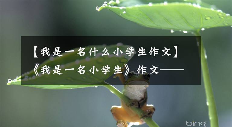 【我是一名什么小学生作文】《我是一名小学生》作文——300字文章配图