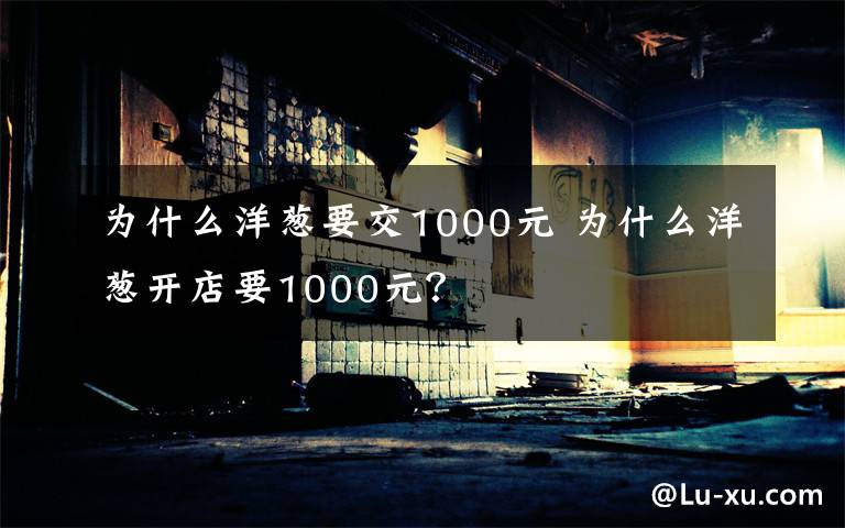 为什么洋葱要交1000元 为什么洋葱开店要1000元？