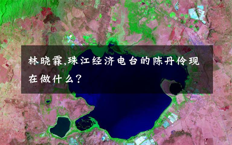 林晓霖,珠江经济电台的陈丹伶现在做什么？