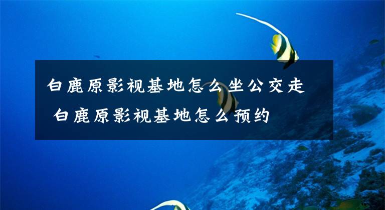 白鹿原影视基地怎么坐公交走 白鹿原影视基地怎么预约文章配图