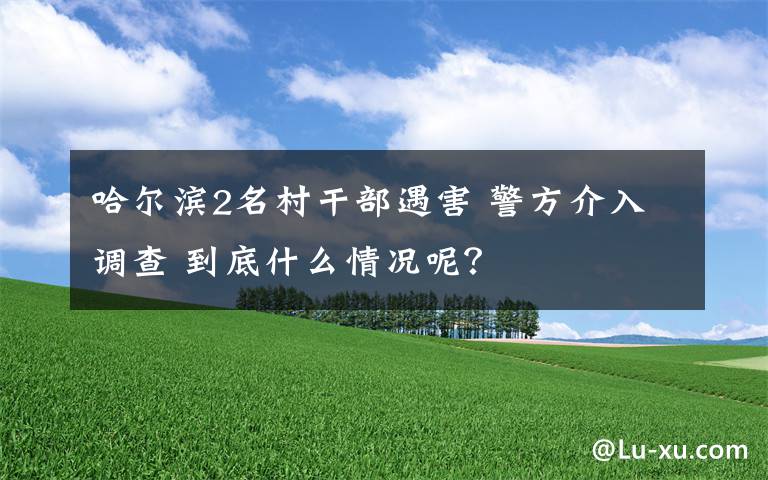 哈尔滨2名村干部遇害 警方介入调查 到底什么情况呢？