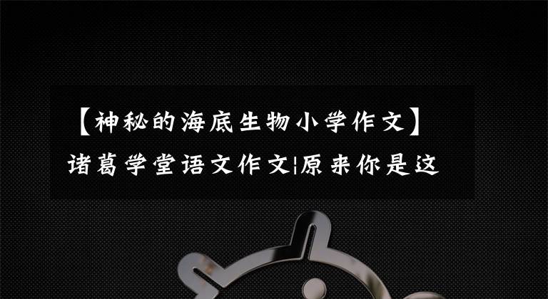 【神秘的海底生物小学作文】诸葛学堂语文作文|原来你是这样的水母。文章配图