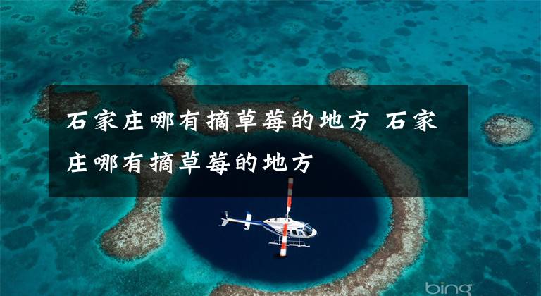 石家庄哪有摘草莓的地方 石家庄哪有摘草莓的地方文章配图