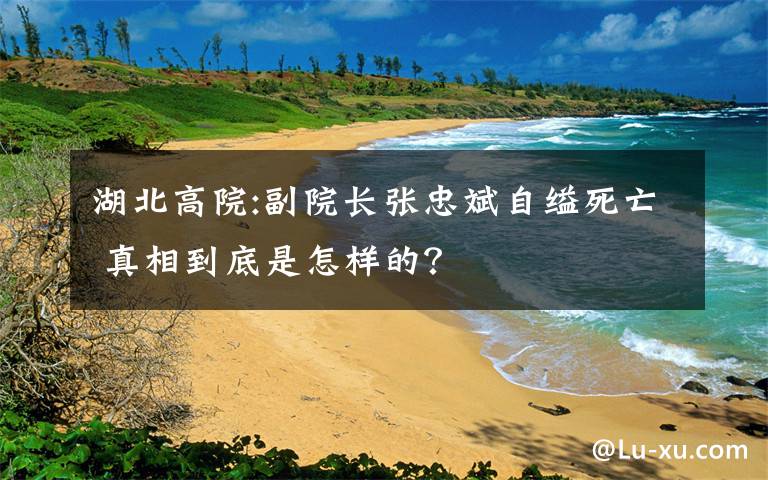 湖北高院:副院长张忠斌自缢死亡 真相到底是怎样的？