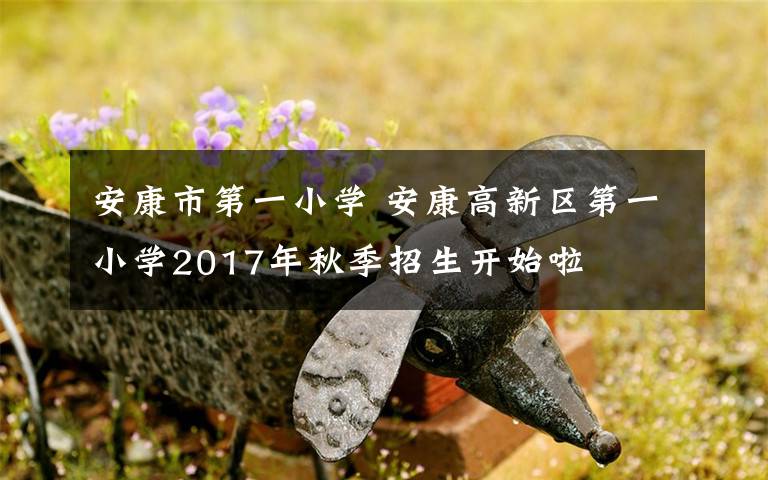 安康市第一小学 安康高新区第一小学2017年秋季招生开始啦文章配图
