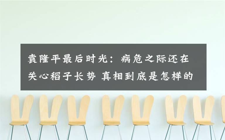 袁隆平最后时光：病危之际还在关心稻子长势 真相到底是怎样的？