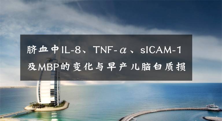 脐血中IL-8、TNF-α、sICAM-1及MBP的变化与早产儿脑白质损伤的关系