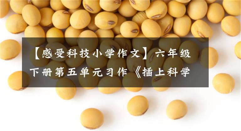 【感受科技小学作文】六年级下册第五单元习作《插上科学的翅膀飞》版两篇文章配图