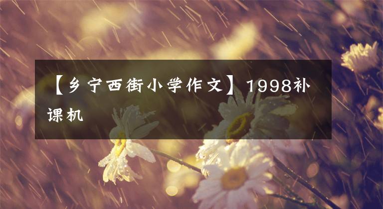 【乡宁西街小学作文】1998补课机