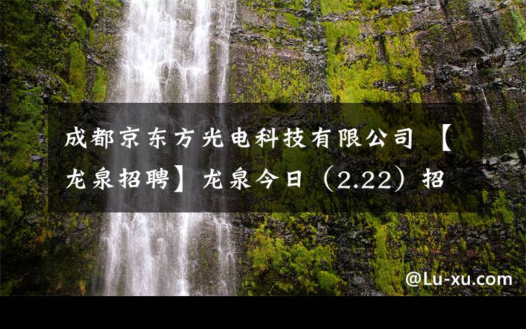 成都京东方光电科技有限公司 【龙泉招聘】龙泉今日（2.22）招聘信息汇总！春季网络招聘会持续进行中！招聘求职看进来！