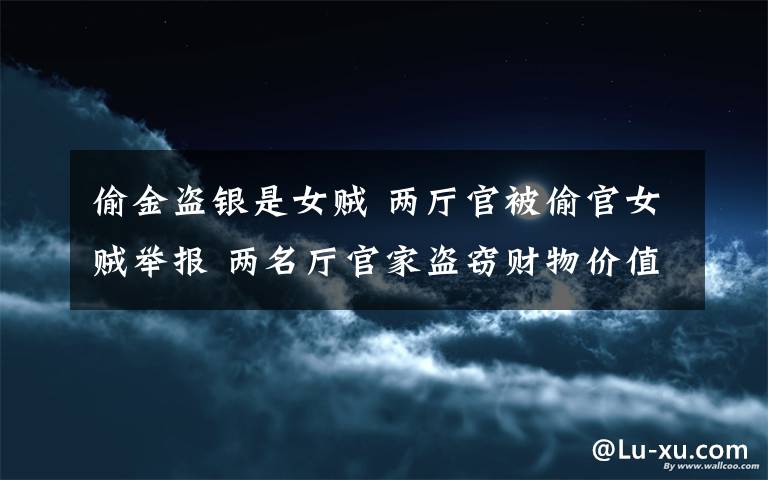 偷金盗银是女贼 两厅官被偷官女贼举报 两名厅官家盗窃财物价值200多万元