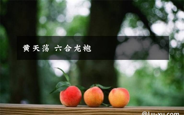 黄天荡 六合龙袍文章配图
