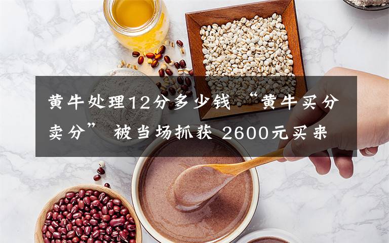 黄牛处理12分多少钱 “黄牛买分卖分” 被当场抓获 2600元买来12分处理违章