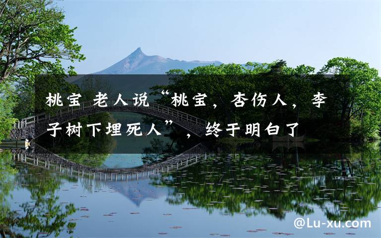 桃宝 老人说“桃宝，杏伤人，李子树下埋死人”，终于明白了