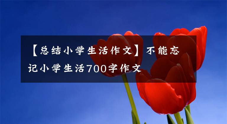 【总结小学生活作文】不能忘记小学生活700字作文文章配图