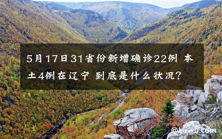 5月17日31省份新增确诊22例 本土4例在辽宁 到底是什么状况？