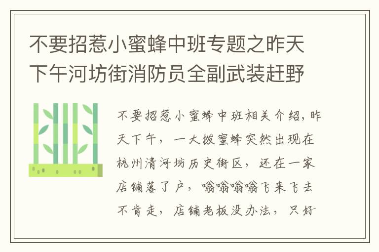 不要招惹小蜜蜂中班专题之昨天下午河坊街消防员全副武装赶野蜂！马上就是它们的活跃期，如果发现记得打这个电话