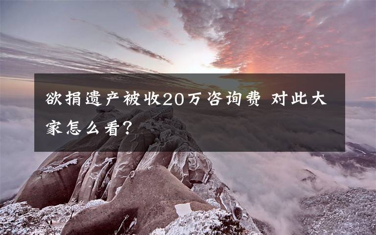 欲捐遗产被收20万咨询费 对此大家怎么看？文章配图