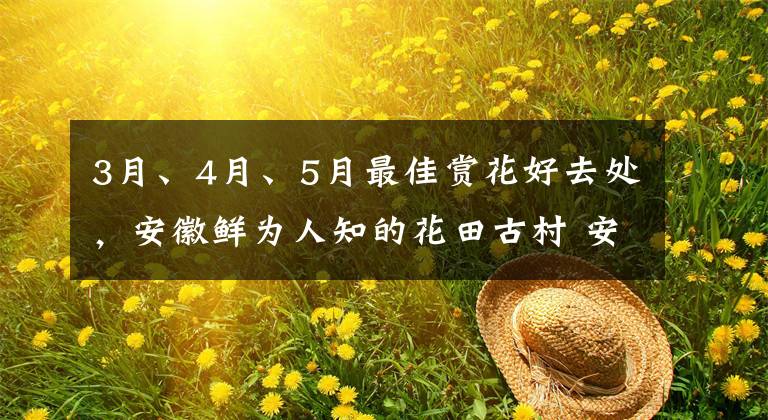 3月、4月、5月最佳赏花好去处，安徽鲜为人知的花田古村 安徽人游安徽景点免费