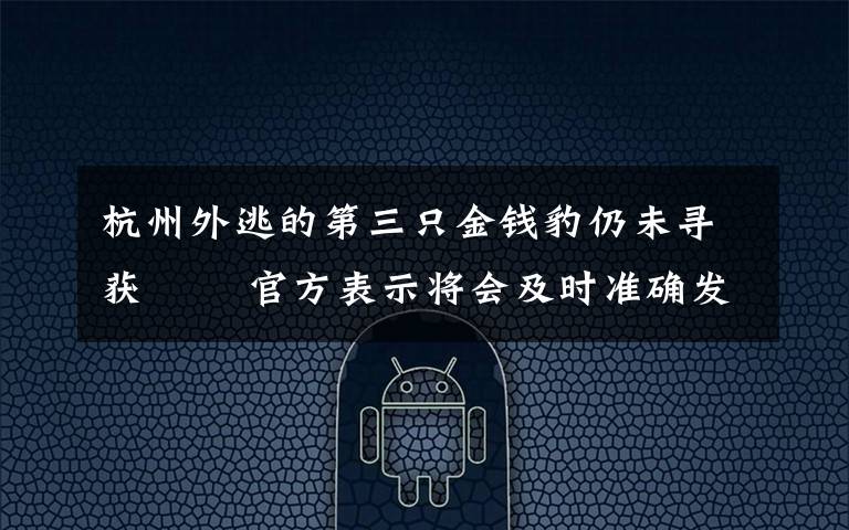 杭州外逃的第三只金钱豹仍未寻获   官方表示将会及时准确发布工作进展情况 真相到底是怎样的？