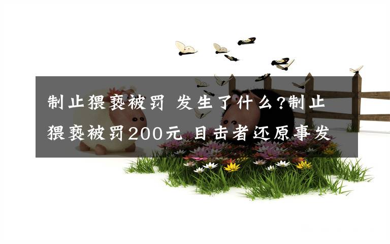 制止猥亵被罚 发生了什么?制止猥亵被罚200元 目击者还原事发经过令人匪夷所思