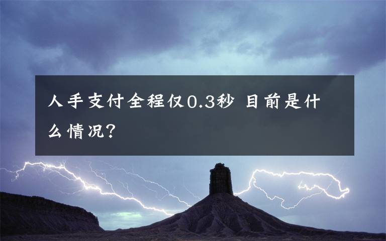 人手支付全程仅0.3秒 目前是什么情况？