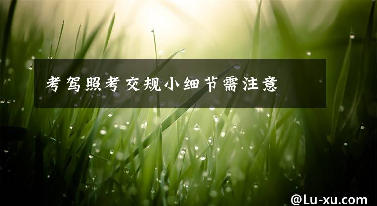 考驾照考交规小细节需注意文章配图