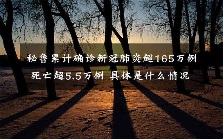 秘鲁累计确诊新冠肺炎超165万例 死亡超5.5万例 具体是什么情况？