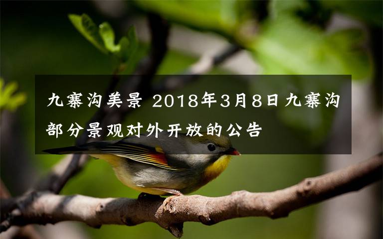 九寨沟美景 2018年3月8日九寨沟部分景观对外开放的公告