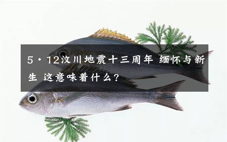 5·12汶川地震十三周年 缅怀与新生 这意味着什么?