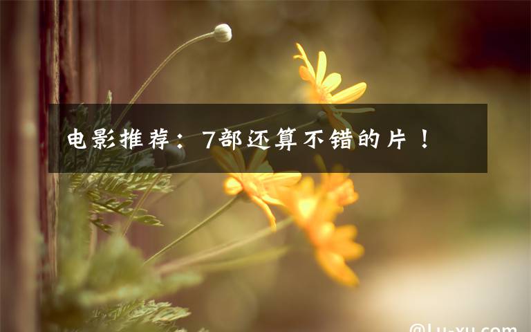 电影推荐：7部还算不错的片！文章配图
