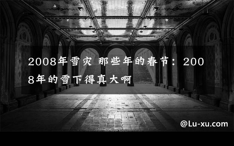 2008年雪灾 那些年的春节：2008年的雪下得真大啊