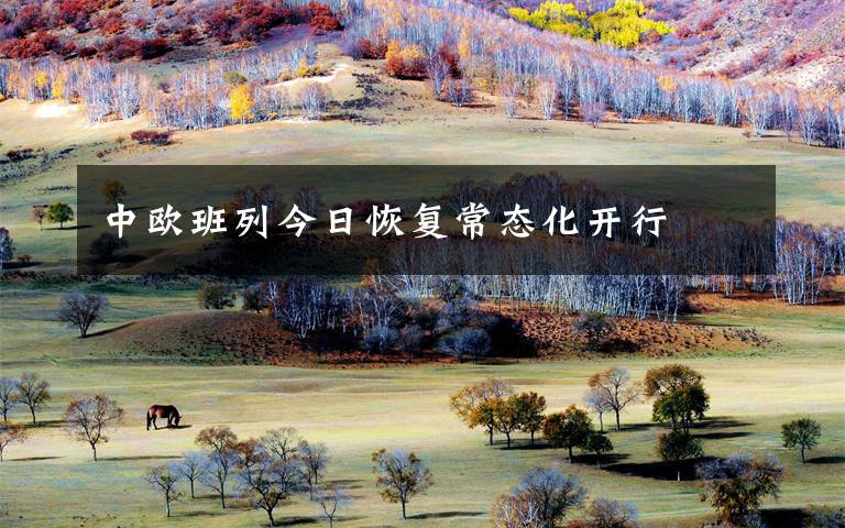 中欧班列今日恢复常态化开行文章配图