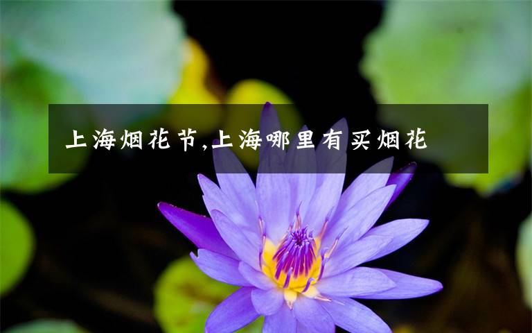 上海烟花节,上海哪里有买烟花