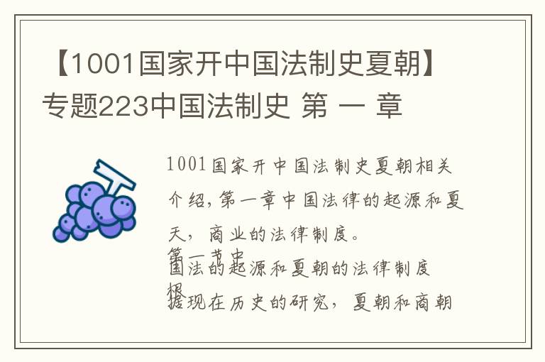 【1001国家开中国法制史夏朝】专题223中国法制史 第 一 章　中国法的起源与夏、商的法律制度