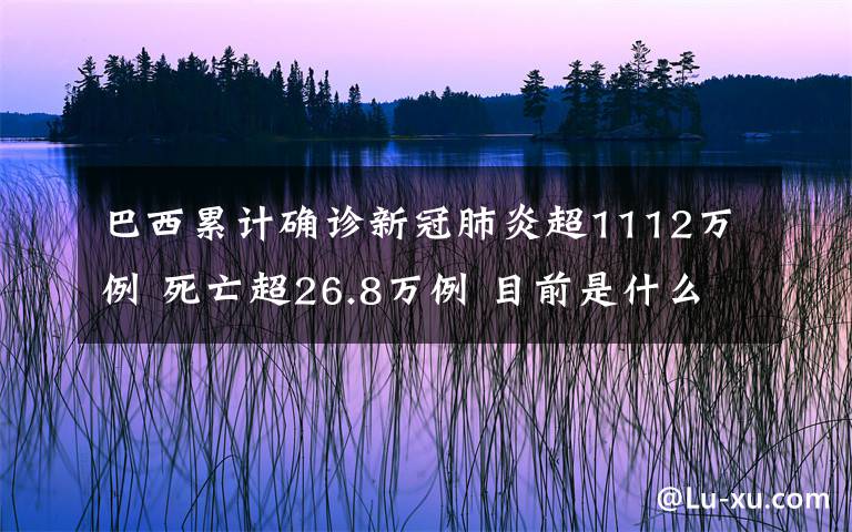 巴西累计确诊新冠肺炎超1112万例 死亡超26.8万例 目前是什么情况？