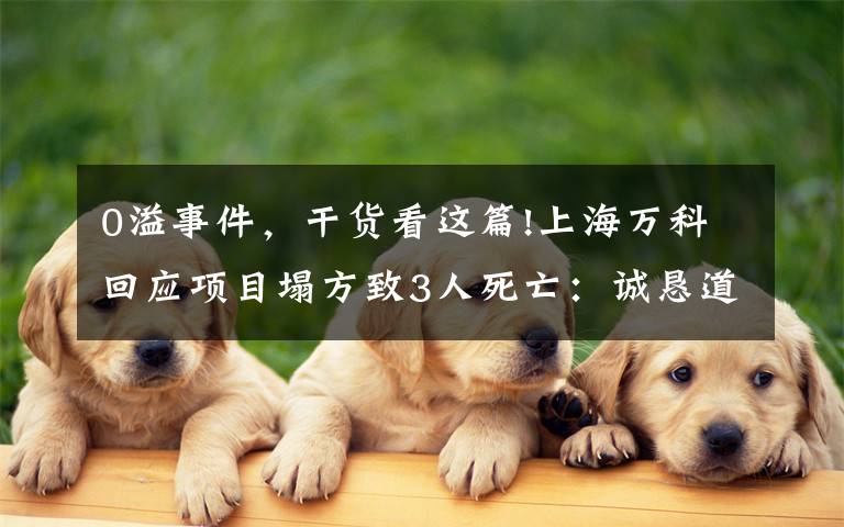 0溢事件，干货看这篇!上海万科回应项目塌方致3人死亡：诚恳道歉 停工排查文章配图