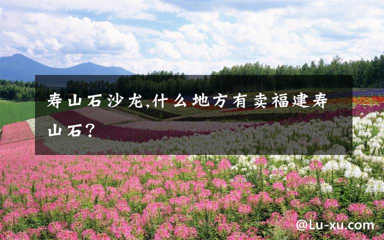 寿山石沙龙,什么地方有卖福建寿山石？