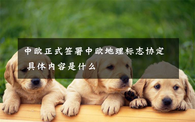中欧正式签署中欧地理标志协定 具体内容是什么文章配图