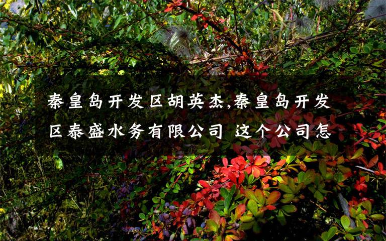 秦皇岛开发区胡英杰,秦皇岛开发区泰盛水务有限公司 这个公司怎么样？