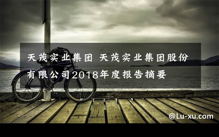天茂实业集团 天茂实业集团股份有限公司2018年度报告摘要
